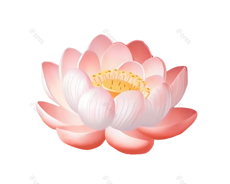 叶子图片,夏至元素,清新PNG,荷花免抠素材